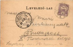 1900 Pozsony, Pressburg, Bratislava; látkép, vár, villák, ortodox zsinagóga / general view, castle, ...