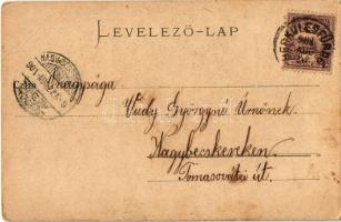 1901 Herkulesfürdő, Baile Herculane; Wasserfallpartie / Vízesési részlet, híd. R. Krizsány kiadása /...