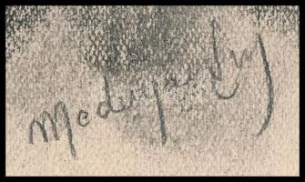 Mednyánszky jelzéssel: Arckép. Szén, papír, kissé foltos. 29,5x20 cm