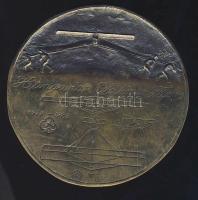 1929-1983 A múlt magyar pilótáinak állított bronz emlékplakett