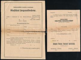 cca 1920 Hajtási jogosítvány, ideiglenes hajtási igazolvány kocsis részére, kitöltetlen, szakadt