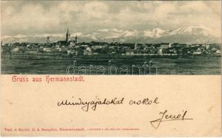 1900 Nagyszeben, Hermannstadt, Sibiu; látkép. Verlag d. Buchh. G.A. Seraphin / general view