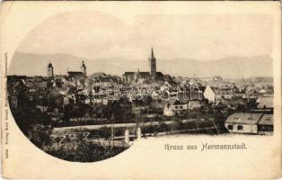 Nagyszeben, Hermannstadt, Sibiu; látkép. Verlag Karl Graef / general view (EB)