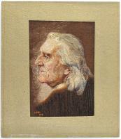 Loibl 922 jelzéssel: Liszt Ferenc portréja. Gobelin. Paszpartuban. 12,5x8 cm
