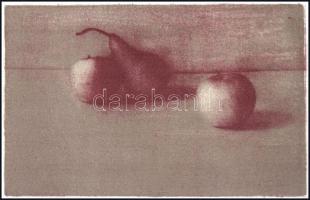 Somorjai Kiss Tibor (1959-): Csendélet, 2001. Litográfia, papír, jelzett, számozott: 4/5. 15×24 cm. ...