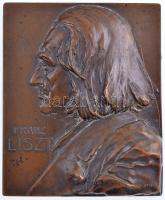 Ausztria(?) DN Franz Liszt egyoldalas bronz plakett. Szign: Franz Stiasny (66x54mm) T:2 karc, ph. Austria(?) ND Franz Liszt one-sided bronze plaque. Sign.: Franz Stiasny (66x54mm) C:XF edge error