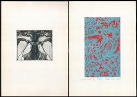 In memoriam Stettner Béla. 15 db grafikát tartalmazó sorszámozott mappa Stefanovits, Csorba-Simon, R...