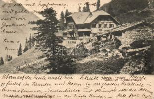 Guesthouse in the Alps (Ek)