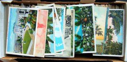 Amerikai Egyesült Államok 1.000 db régi képeslap, szép színes, változatos anyag / USA 1.000 old postcards, colourful material