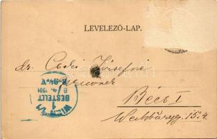 1901 Nagybánya, Baia Mare; Fő tér északi oldala. Molnár Mihály kiadása / main square (Rb)