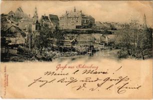 Segesvár, Schässburg, Sighisoara; látkép. Fritz Teutsch kiadása / general view (Rb)