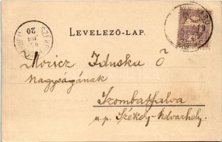 1900 Segesvár, Schässburg, Sighisoara; Von der Steilau aus gesehen / látkép. Verlag v. H. G. Roth Ph...