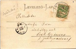 1902 Sepsiszentgyörgy, Sfantu Gheorghe; Város központja "Potsa" parkkal. Benkő M. kiadása ...