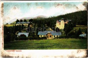 Stájerlak, Steierlak, Stájerlakanina, Steierdorf, Anina; Stájerlaki nyaraló. Hollschütz kiadása / villa (fl)