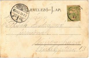 1904 Stájerlak, Steierlak, Stájerlakanina, Steierdorf, Anina; Nyaraló. Hollschütz F. kiadása / Somme...