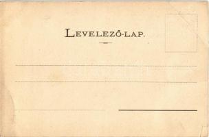 Stájerlak, Steierlak, Stájerlakanina, Steierdorf, Anina; Koronini vízesés. Hollschütz F. kiadása / K...