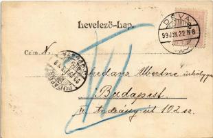 1899 Arad, Városháza. Honisch udvari fényképész felvételei után. Pick Testvérek / town hall (gyűrődé...