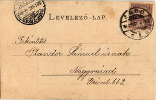 1901 Arad, Vértanú szobor, Hubert Bernát üzlete / Märtyrer-Monument / martyrs' monument, shops ...