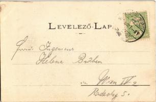 Arad, A tizenhárom vértanú szobor, Weigl Adolf és Társa üzlete, kávéház. Kerpel Izsó kiadása / marty...