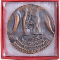 Kiss György (1943-) 1987. "XI. Országos Csokonai Diákszínjátszó Napok - Csurgó 1988" egyol...