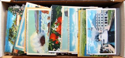 AMERIKAI EGYESÜLT ÁLLAMOK / USA 1.000 db főleg 1960 előtti képeslap / 1.000 postcards mostly pre 1960
