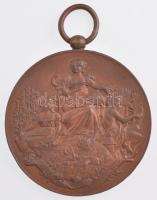 Franciaország DN Vouziers-i Mezőgazdasági Kiállítás kétoldalas, bronz emlékérem, füllel (56mm) T:1-,2 France ND COMICE AGRICOLE DE LARROND DE VOUZIERS (ARDENNES) double-sided bronze commemorative medallion with ear (56mm) C:AU,XF