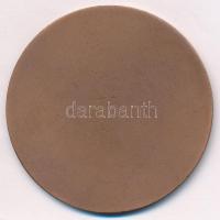 DN "Sárvár" egyoldalas bronz emlékérem (61mm) T:1-