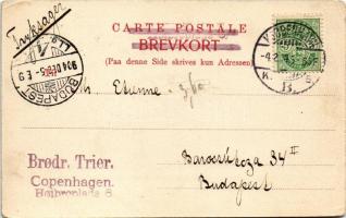 1904 Copenhagen, Kobenhavn; Vagtparaden / guards' parade (EK)