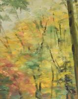 L de Paál jelzéssel: Erdőrészlet. Olaj, vászon, keretben, 60x80cm