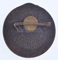 Ukrajna DN Ruszin címeres Br jelvény, hátoldalán "Városi Szobormúzeum" felirattal T:1-
Uk...