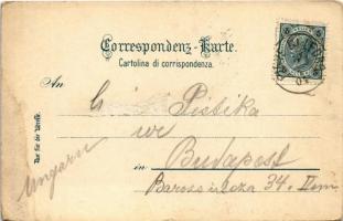 1904 Lago di Ledro / Ledrosee (Südtirol); Joh. F. Amonn G. 131. (EK)