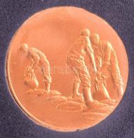 ~2002. Az Árvíz- és Belvízvédekezésért - Vízügy aranyozott bronz emlékérem, bársony borítású dísztokban, nem adományozott T:1