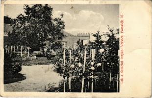 1915 Versec, Werschetz, Vrsac; Lak a Neoschil tanyán. Zircher Antal fényképész / villa, vineyard (apró lyuk / tiny pinhole)