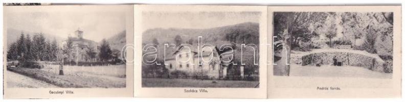 1908 Vihnye, Vihnyefürdő, Kúpele Vyhne; Új fürdőház. Kemény hátú leporello 12 képpel, Joerges A. özv...