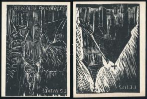 Molnár Dénes (1947-2000): Erdélyi képlapok. Marosvásárhely, én., Szerzői, 12 (fametszetek) t. Kiadói...