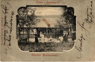 1903 Beregszász, Berehove, Berehovo; Rivajhegy, Schwarcz Herman borháza / wine house, villa + M.SZIGET-MISKOLCZ BUDAPEST 34 vasúti mozgóposta (EK)