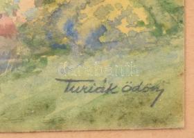 Turiák Ödön (1884-1937): Tópart. Akvarell, papír, jelzett, üvegezett kopott keretben, jelzett. 11x14...