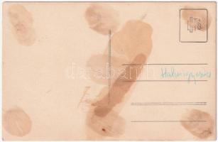 Halmágycsúcs, Varfurile; iparvasút, vonat / industrial railway, train. photo (fl)