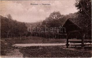 Barcarozsnyó, Rozsnyó, Rosenau, Rasnov; Promenade / Sétatér. Fotogr. J. Schuller & Sohn / promenade (fa)