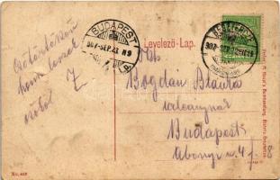 1907 Beszterce, Bistritz, Bistrita; Gewerbevereins-Gebäude / Ipartársulati épület. W.L. (?) No. 402....
