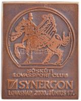 2000. Sóskúti Lovassport Club - Synergon Lovasnap 2000. június 17. egyoldalas, öntött bronz lovassport plakett, eredeti dísztokban (78x61,5mm) T:1