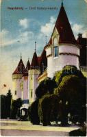 1917 Nagykároly, Carei; Gróf Károlyi kastély. Eigner Simon kiadása / castle (EK)