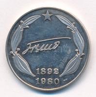 Jugoszlávia 1980. "Josip Broz Tito 1892-1980" jelzett Ag emlékérem (10,33g/0.925/27mm) T:1...