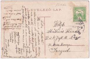 Temesvár, Timisoara; Takarékpénztár utca, villamos, üzletek, csendőr / street, tram, shops, gendarme