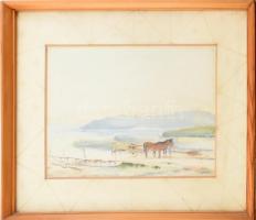 Földes jelzéssel: Balaton. Akvarell, papír. Üvegezett keretben. 29x48cm