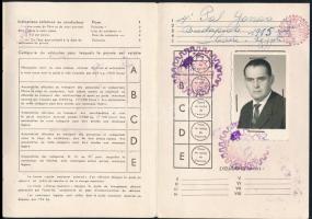 1967 Fényképes egyiptomi jogosítvány magyar személy részére