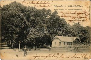 1900 Félixfürdő, Baile Felix; Erdő részlet, út a vasútállomáshoz / forest, road to the railway station (EK)