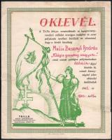 1941 A Trilla könyv-, zeneműkiadó- és hangverseny-rendező vállalat országos pályázatán elért ötödik helyezésért kiállított oklevél, irredenta grafikával, szakadt, ragasztott, 36,5x29 cm