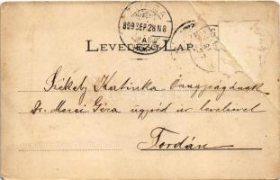 1899 (Vorläufer) Nagyenyed, Aiud; Városház, leány iskola, Bethlen kollégium / town hall, schools. Ar...