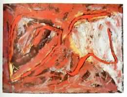 Dieter Ronte-Hegyi Loránd: Klimó Károly. Bp.-New York, 1989., Műcsarnok-Antium. A művész munkáinak r...